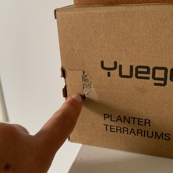 Yuego planter terrarium glass wooden new‎ in box - Picture 12 of 12